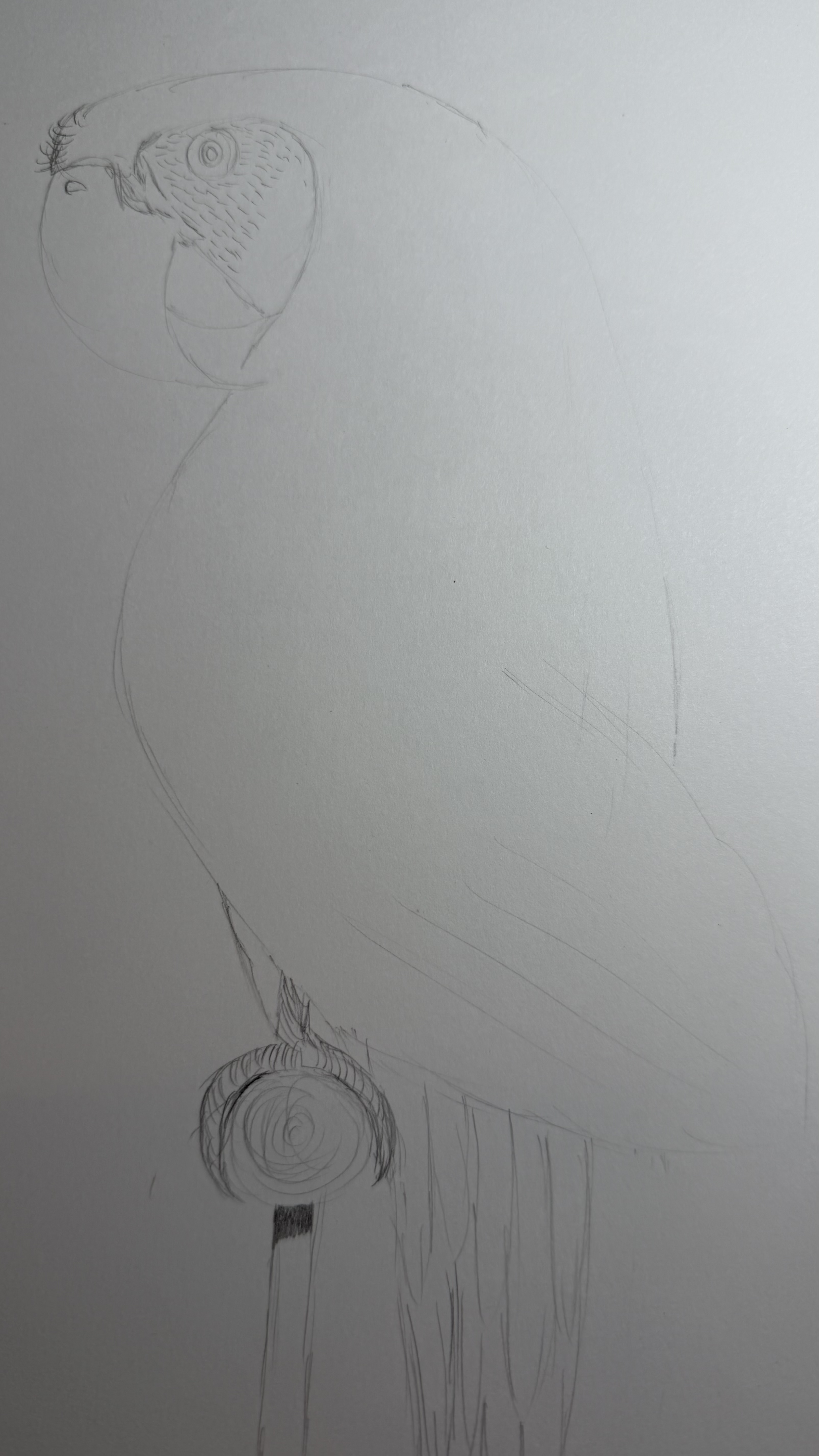 Original Artwork 13
